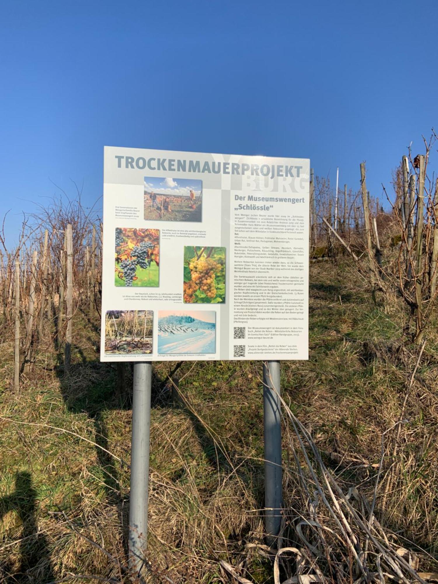 Unter Der Yburg Stetten Exterior foto