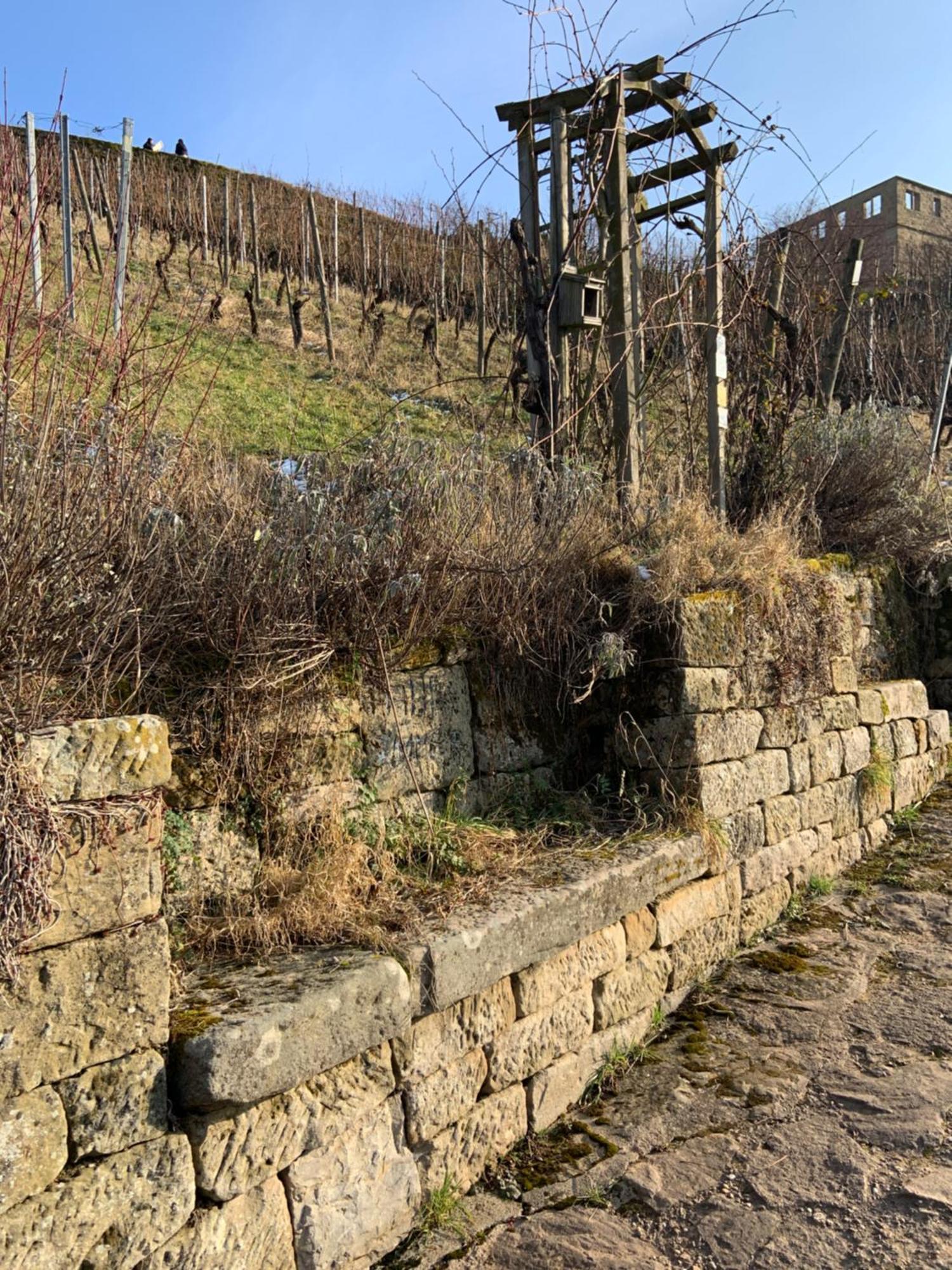 Unter Der Yburg Stetten Exterior foto